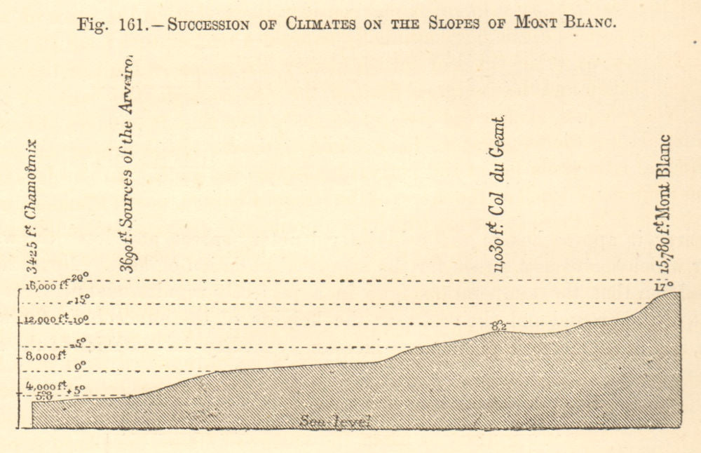Climates on the slopes of Mont Blanc. Haute-Savoie. SMALL. Section 1886 print